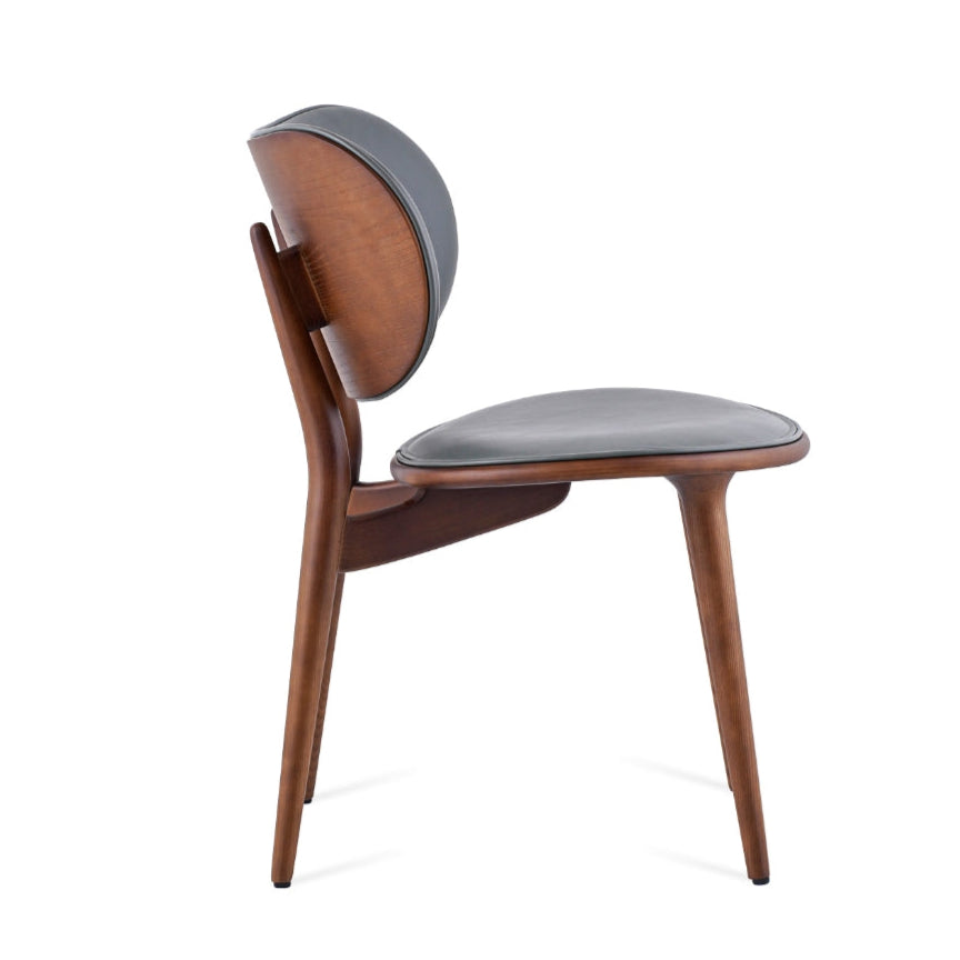 Dining Chair TDC