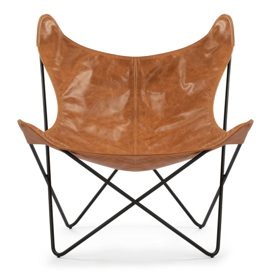 Armchair Butterfly