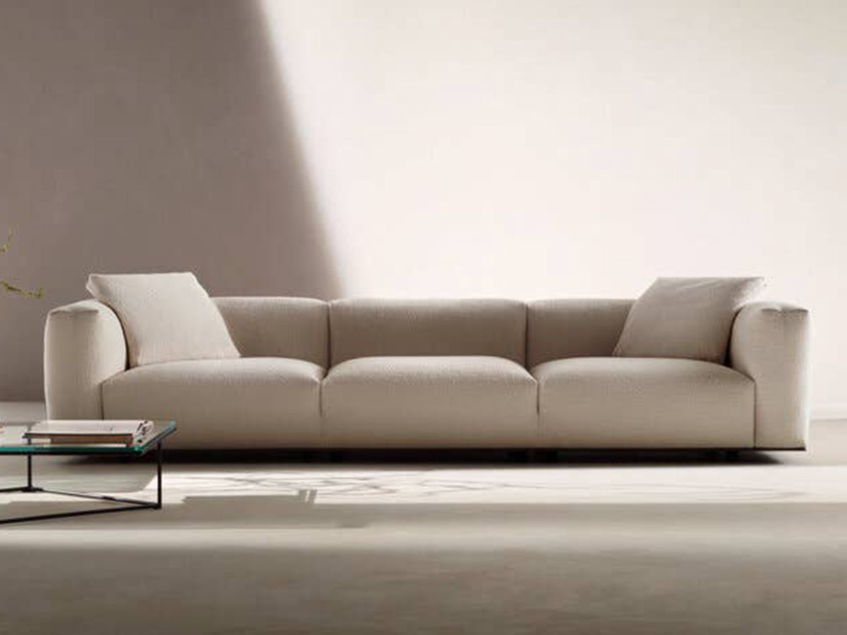 B&B Italia Dambodue Sofa